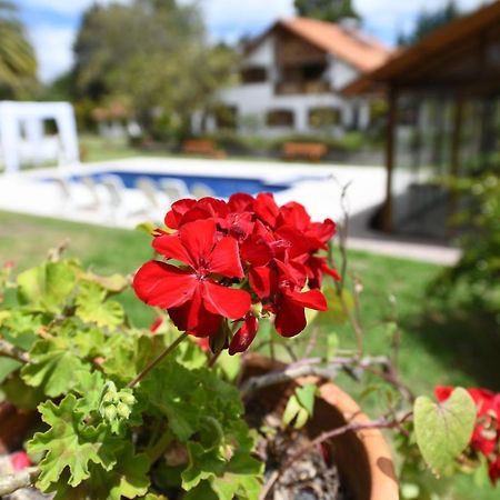 Quinta La Constanza Ξενοδοχείο Tababela Εξωτερικό φωτογραφία